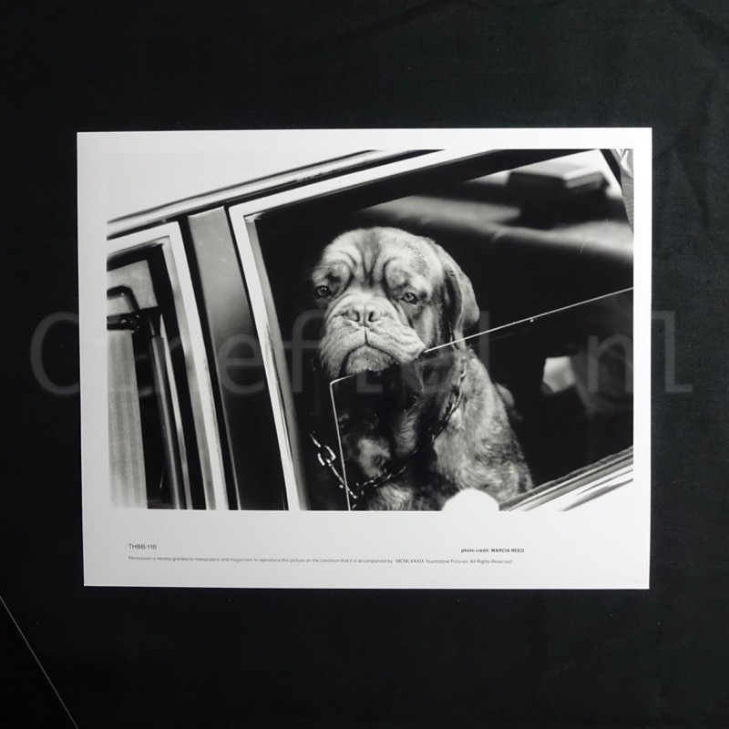 Turner and Hooch - Press Photo Movie Still Roger Spottiswoode Beasley the Dog