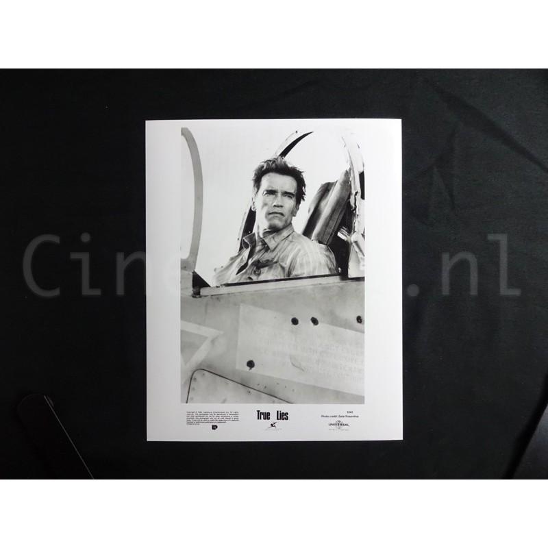 True Lies - Press Photo Movie Still 8x10” James Cameron Arnold Schwarzenegger